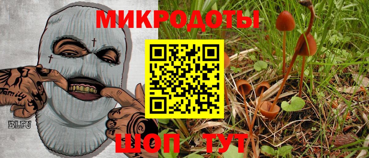 Псилоцибиновые грибы GOLDEN TEACHER  Галлюциногенные грибы GOLDEN TEACHER  наркота  Вход с VPN  Ачинск 