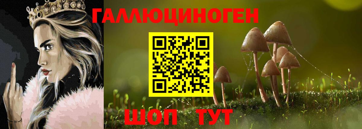 Псилоцибиновые грибы Cubensis Ачинск